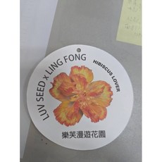 LUV SEED x LING FONG 朱槿 樂芙漫遊花園 庭院陽台盆栽, 1個