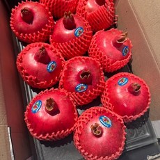 프리미엄 석류생과 중과 1kg (3과 내외)