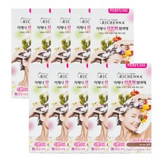 리체나 퍼퓸 새치전용 샴푸형 염색제, 부드러운 갈색, 10개