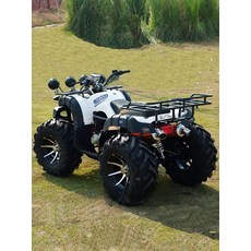 4륜 atv 산악 오토바이 사륜오토바이 카트 버기카 사륜바이크, 빅불 패키지 1 체인