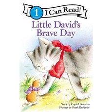 (영문도서) Little David's Brave Day: Level 1 Paperback, Zonderkidz, English, 9780310717096