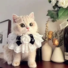 티쯔 반려동물 고양이 강아지 레이스 케이프, 1개, 화이트로즈