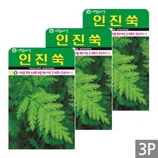 세인화분 인진쑥 1000립 - 국산 쑥 여러해살이 야생화 풀 약초 씨 씨앗, 3개