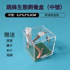 跳蛛飼養箱 壓克力透明生態盒 (中號) 翠綠草皮款, 1個, 中翠綠草皮(5.2x5.2x5.2cm)