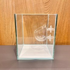 吸盤式玻璃水草培育杯, 1個, 1入(賣場商品只有玻璃杯本體，不含魚缸)