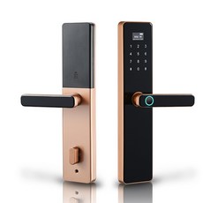 京軒 SL2 指紋鎖 電子鎖《指紋、刷卡、密碼、鑰匙》四合一門鎖 中文語音 防盜鎖 FIIDO 保固, 紅