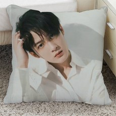 檀健次 明星周邊 抱枕 雙面 靠枕 獵罪圖鑒 生日禮物 毛絨 枕頭, 1個, 1,35*35cm迷你寶寶絨