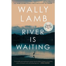 (영문도서)The River Is Waiting (Oprah's Book Club) Paperback, Scribner Book Company, English, 9781668006405