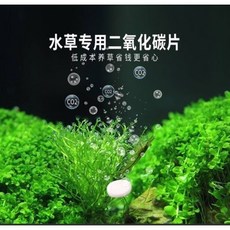 邦邦水族 台灣絕色 水草CO2錠 散售，適用於陽性/陰性水草, 1錠, 1個
