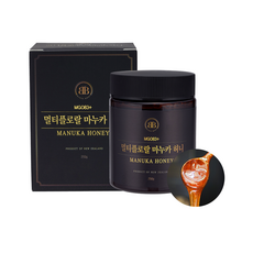 [블레스바디] MGO83+ 멀티플로랄 뉴질랜드 100% 마누카 허니 마누카꿀, 1개, 250g