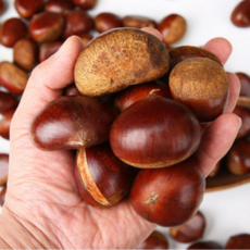 맛품 25년 국내산 왕특대 햇밤 알밤(특대 사이즈), 1박스, 5kg