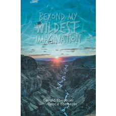 (영문도서) Beyond My Wildest Imagination Paperback, Partridge Publishing Singapore, English, 9781543752991