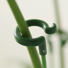 플레노 오링 식물지지대 화초 화분지지대 10p, 1세트, 48cm