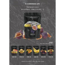 《胖頭龍批發工廠》Gecko Nutrition 果泥 GN果泥 蓋勾亞 睫角守宮 巨人守宮 魔物果泥 樹棲, 1個, GN果泥 無花果口味,100g