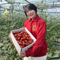 고흥 유기농 대추 방울 토마토 친환경 무농약, 1개, O, 2kg(1kg x 2팩 / 1~3번과 혼합)