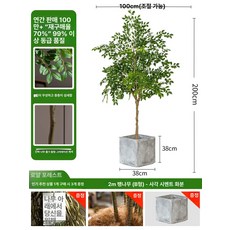 화분 가짜 나무 느릅나무 개업 장식 대형 인조 세트, 2m 단일 가지 + B 화분