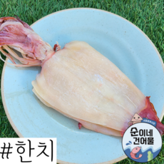 [서울 중부시장_순이네 건어물] 난 혼자 산다 시리즈 -부드러운 한치(5마리 한묶음), 5마리 중간크기160g전후, 5개