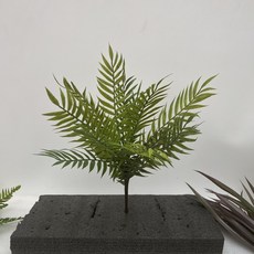 高仿真綠植蕨草綠色蕨類植物腎蕨熱帶雨林軟膠櫥窗景觀造景裝飾, 40cm軟膠鳳蕨葉, 1個