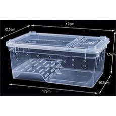 P老闆水族爬蟲飼養盒：小/中/大尺寸，適用於樹棲、蜘蛛、守宮、烏龜等，兩棲爬蟲飼養箱，含爬台, 小 有爬坡, 1個