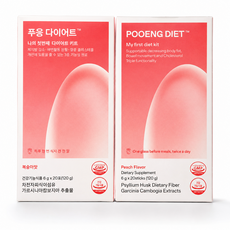 푸응 다이어트 가르시니아 차전차피, 120g, 2개