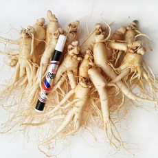 [GAP 인증 인삼] 농부가 직접 드리는 6년근-5년근 못난이 인삼(난발삼) 무료세척 예쁜 정품수삼 파삼 홍삼액달임오쿠 인삼튀김 삼계탕 인삼라떼(믹서) 인삼주, 720g, 1개, 세척함, 5.소난발(720g, 14뿌리내외)