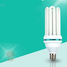곰돌이네상점 고와트 삼파장 100W 주광색 백열램프, 1
