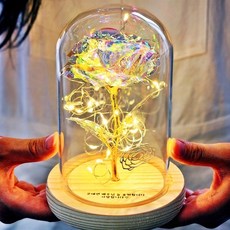 [라알레그리아] [무료레이저각인] [당일발송가능] led 유리돔 미녀와야수 홀로그램 장미 어버이날 로즈데이 100일 여자친구 선물 화이트데이 발렌타인데이