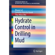 (영문도서) Hydrate Control in Drilling Mud Paperback, Springer, English, 9783030941291