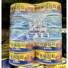 동원참치 동원 참치 인 워터, 100g, 10개