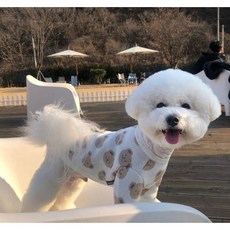 댕숍 의상 [곰돌이 기본티], SO0225-아이보리-XL, 1개