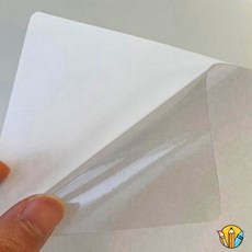 RS 엘리베이터 점착 항균필름 A4 5p 210X297mm 생활용품 감염예방