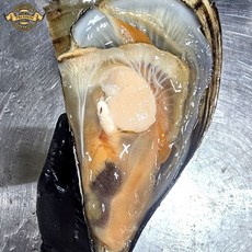 [프리미엄 재구매율이 높은 자연산 키조개] 거제도 자연산 키조개 특대 25cm 내외 생물 키조개 손질 하프셀 키조개 조개 구이, 1개, 정품 키조개 1미 (25cm내외 하프셀)