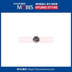 너트 플랜지 (924153M000)