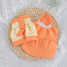 春夏季 狗狗洋裝 公主風 貓咪裙 寵物兩腳衣 娃娃領 櫻桃繡花, 橙色兩件套,XXL建議體重15-20斤）, 1個