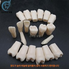 임시치아 가짜이빨 치과재료 치과용 탈착식 하부 상부, 수지 치아 47개, 1개, 1L