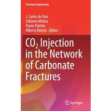 Co2 Injection in the Network of Carbonate Fractures Hardcover, Springer, English, 9783030629854