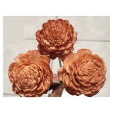 通草花索拉花 手工乾燥擴香花 居家裝飾花束素材, 淺咖啡1支