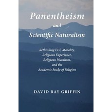 (영문도서) Panentheism and Scientific Naturalism: Rethinking Evil Morality Religious Exp... Paperback, Riverhouse LLC, English, 9781940447032