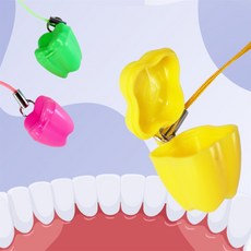 일상발견 보관통 젖니보관함 유치함 이빨보관함