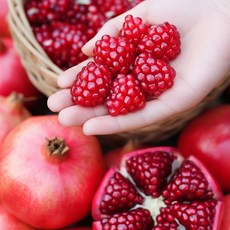 [프리미엄등급] 껍질 벗겨 바로 즐기는 석류 부드러운 과육, 1개, 38번지농원 프리미엄 중과 1kg