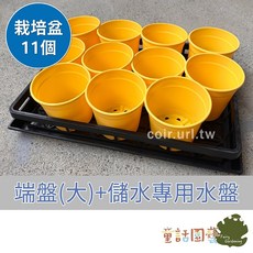 花園夢想家 換盆專用組合 移植 新手 懶人包 蔬菜 花卉 多肉 整理 育苗工具 小空間 陽台 童話園藝, 1個, 盆器組合