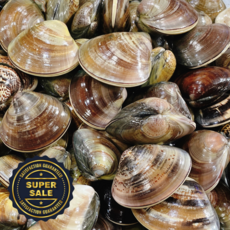 [초특가세일]시원하고 뽀얀 국물 자연산 백상합, 1박스, 5kg