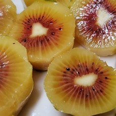 [고당도 23Brix] 후숙하면 설탕물! 프리미엄 제주 레드키위, 10개, 중과
