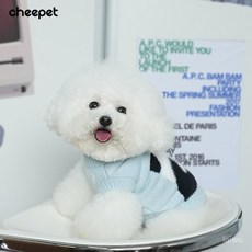 廠家直發秋冬款狗狗套頭毛衣比熊雪納瑞中小狗狗兩腿無袖針織衫狗衣服批髮 UDK7, 綠色,XL, 1個