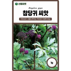 다농 참당귀 씨앗 1g, 1개