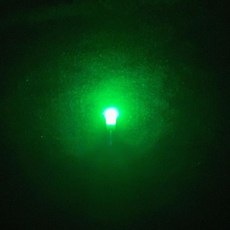 夜釣漂尾燈 電子夜光棒 醒目豆 311電池, 綠色,燈頭1枚 無電池送底座, 1個