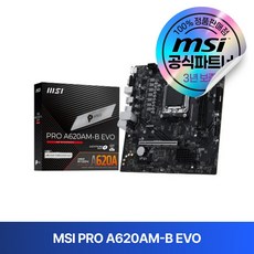 MSI PRO A620AM-B EVO, 블랙 1개