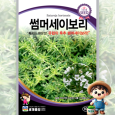 썸머세이보리 1000립 / 허브 씨앗 종자 향신료 후추 유럽양념, 1개