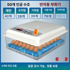 병아리부화기 조류 자동부화기 축산 다기능 계란 대용량, 1개, 50개 플라스틱 단전