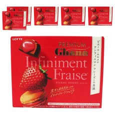 LOTTE 日本樂天 Pierre Hermé 高級迦納無限禮盒, 65g, 6個